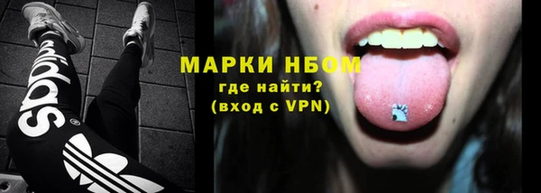 прущие грибы Касимов