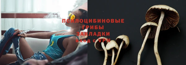 ешки Алзамай