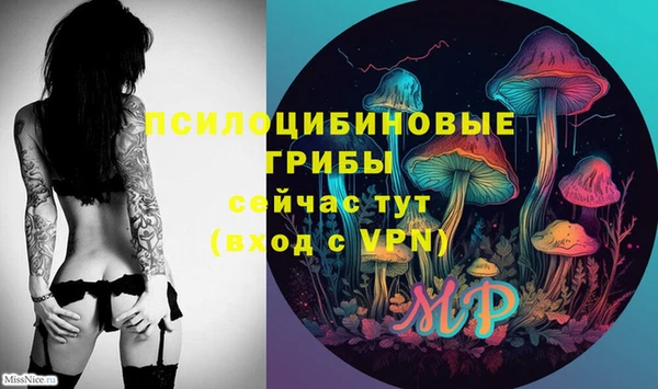 ешки Алзамай