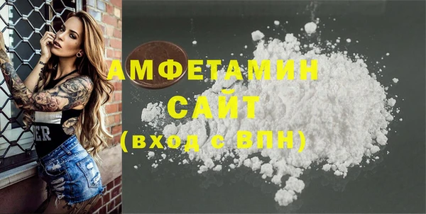 СК Алексин