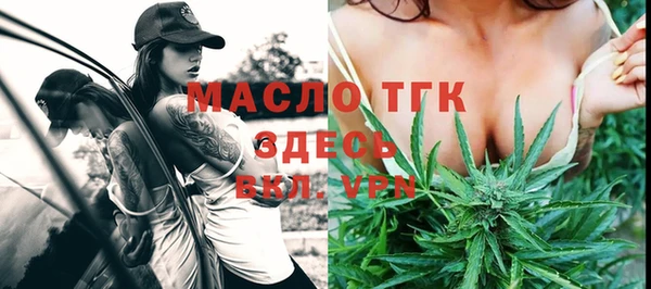 СК Алексин