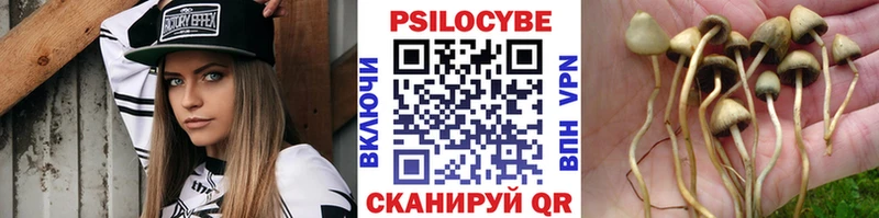 Галлюциногенные грибы прущие грибы  Пролетарск 